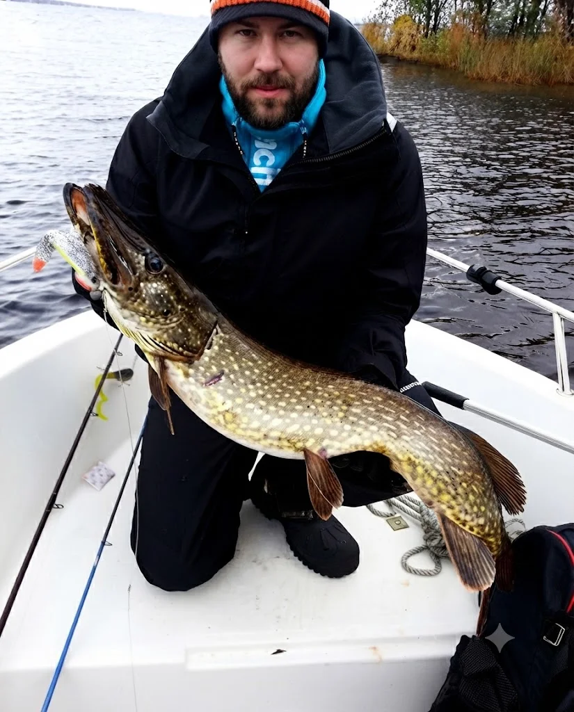 ORKA soft lures for Pike (Esox lucius)
